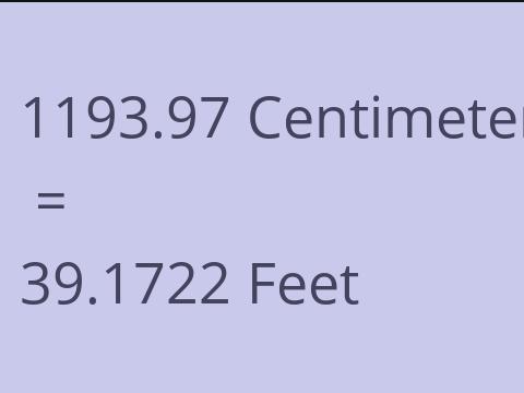 1193.97 CM TO FEET