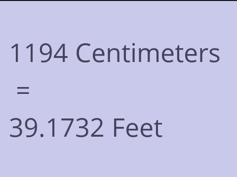 1194 CM TO FEET