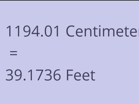 1194.01 CM TO FEET