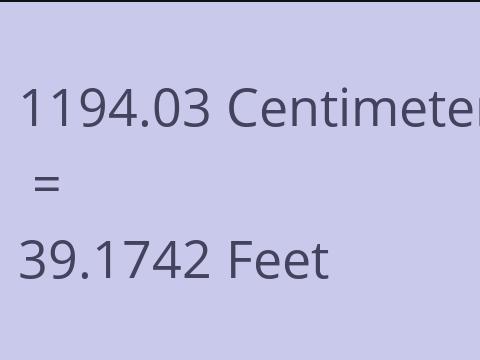 1194.03 CM TO FEET