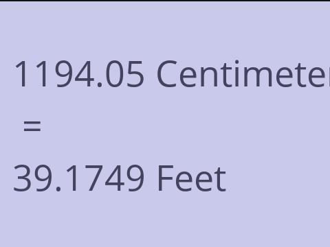 1194.05 CM TO FEET