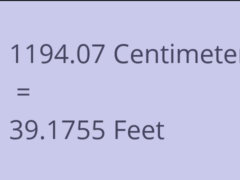 1194.07 CM TO FEET