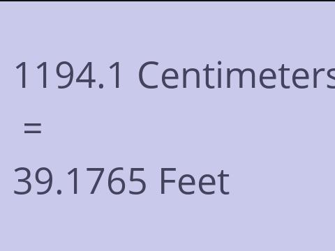 1194.1 CM TO FEET