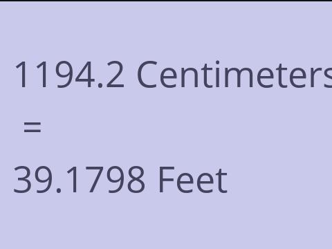 1194.2 CM TO FEET