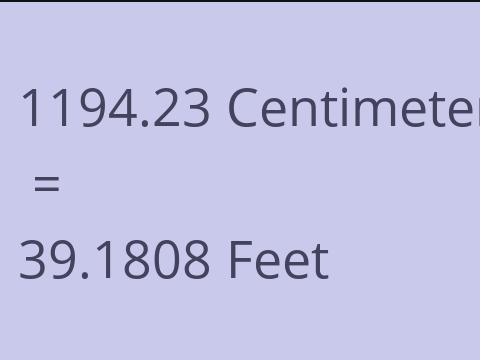 1194.23 CM TO FEET