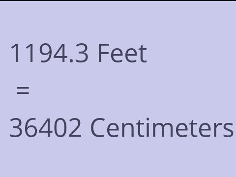 1194.3 FEET TO CM