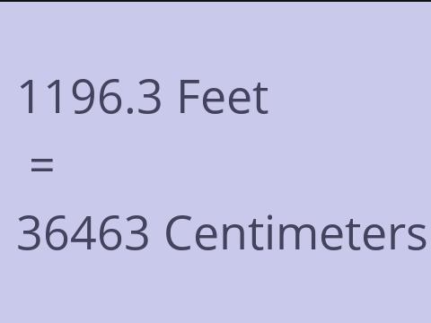 1196.3 FEET TO CM