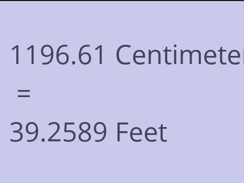 1196.61 CM TO FEET