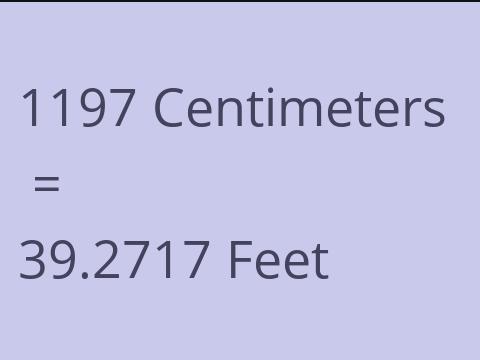 1197 CM TO FEET