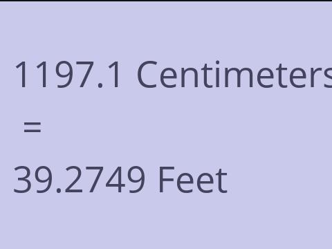 1197.1 CM TO FEET