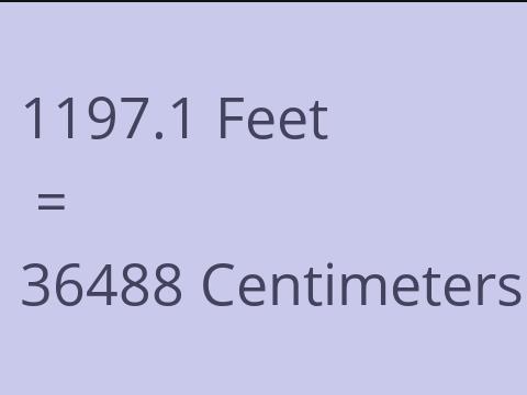 1197.1 FEET TO CM