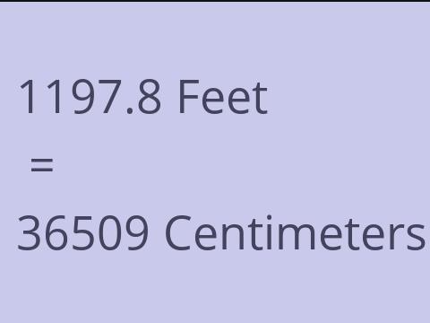 1197.8 FEET TO CM