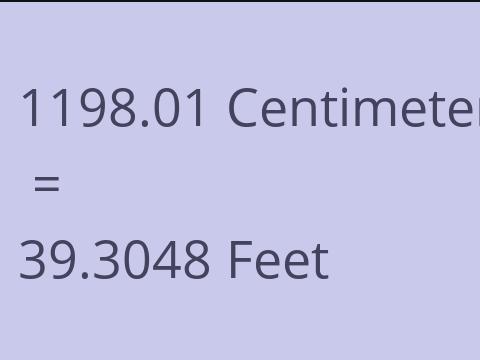 1198.01 CM TO FEET