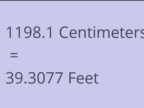 1198.1 CM TO FEET