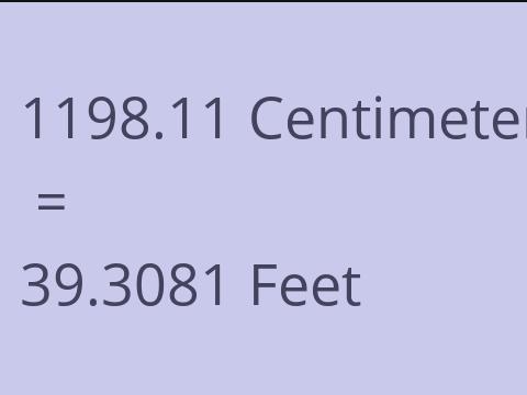 1198.11 CM TO FEET