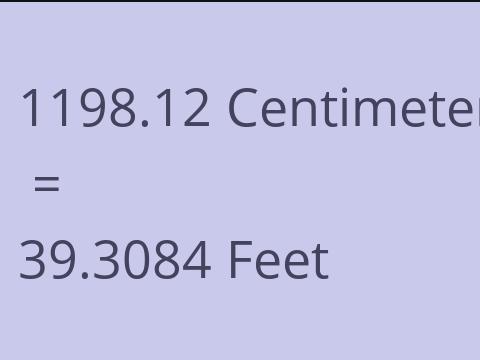 1198.12 CM TO FEET