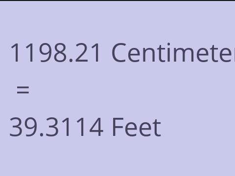 1198.21 CM TO FEET