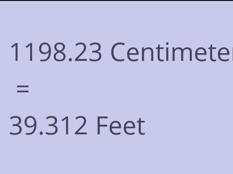 1198.23 CM TO FEET