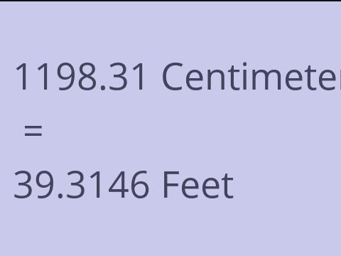 1198.31 CM TO FEET