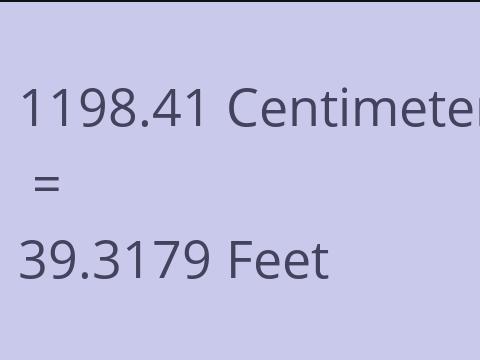 1198.41 CM TO FEET