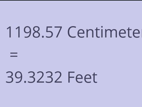 1198.57 CM TO FEET