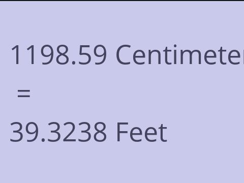 1198.59 CM TO FEET