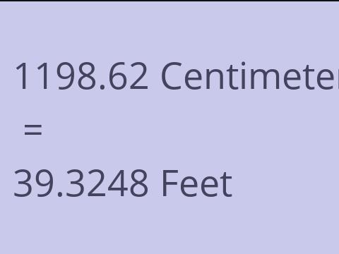 1198.62 CM TO FEET