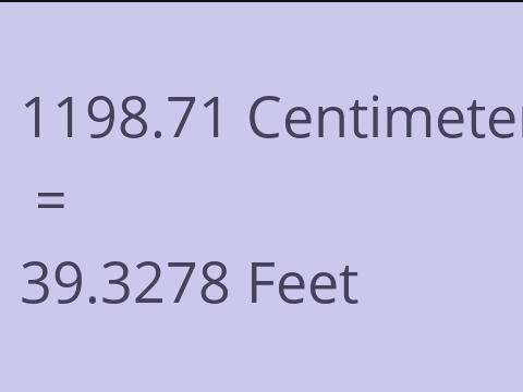 1198.71 CM TO FEET