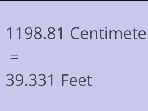 1198.81 CM TO FEET