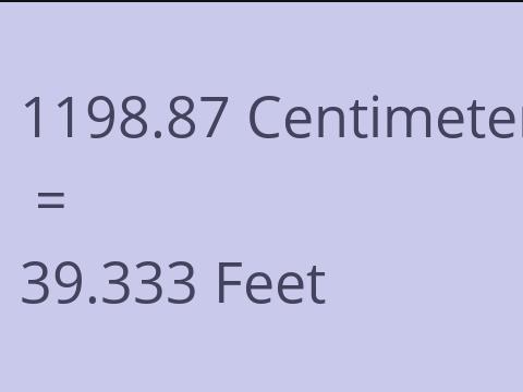 1198.87 CM TO FEET