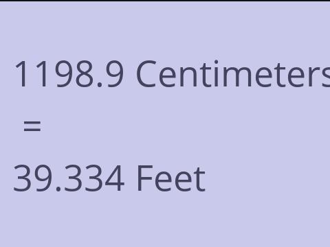 1198.9 CM TO FEET