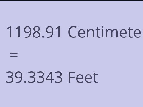 1198.91 CM TO FEET