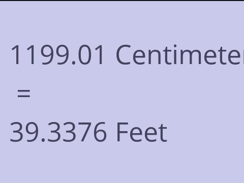 1199.01 CM TO FEET