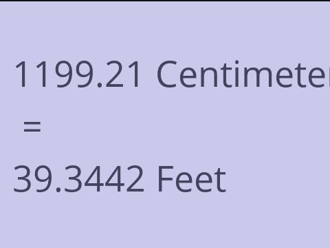 1199.21 CM TO FEET