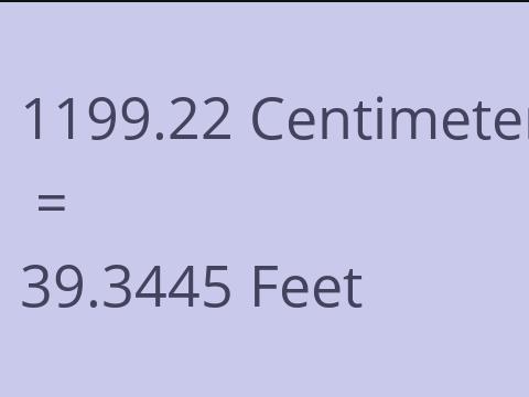 1199.22 CM TO FEET