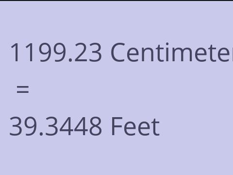 1199.23 CM TO FEET