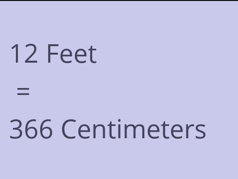 12 FEET TO CM