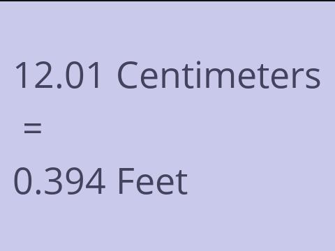 12.01 CM TO FEET