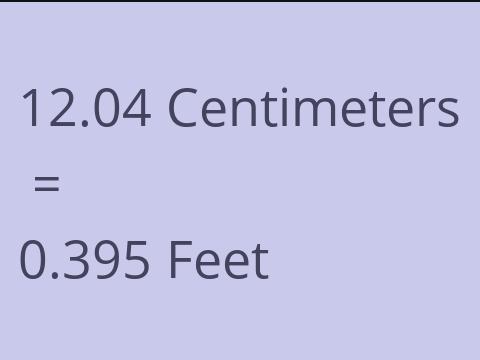 12.04 CM TO FEET