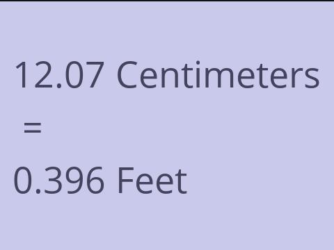 12.07 CM TO FEET