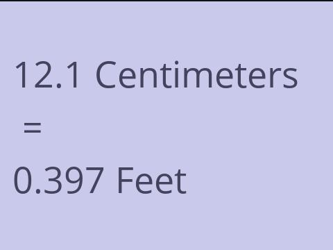 12.1 CM TO FEET