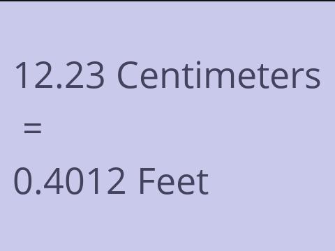 12.23 CM TO FEET