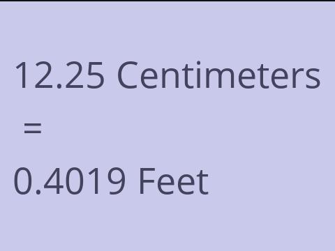 12.25 CM TO FEET