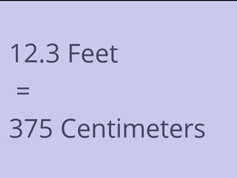 12.3 FEET TO CM