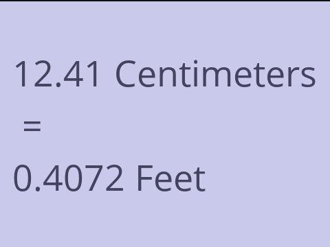 12.41 CM TO FEET