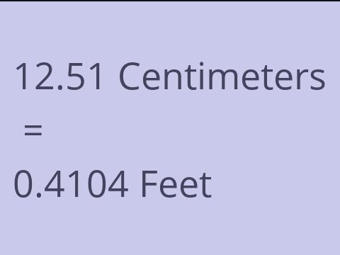 12.51 CM TO FEET