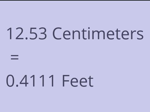 12.53 CM TO FEET