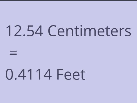 12.54 CM TO FEET