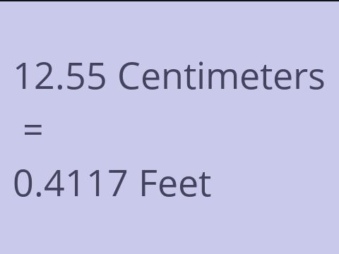 12.55 CM TO FEET