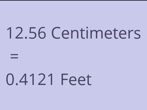 12.56 CM TO FEET